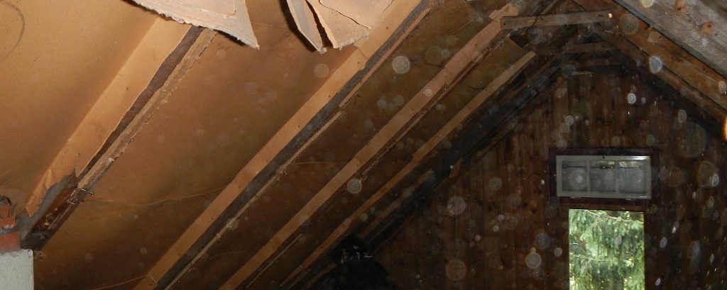 Sanierung Österleinbrunn 2015 17