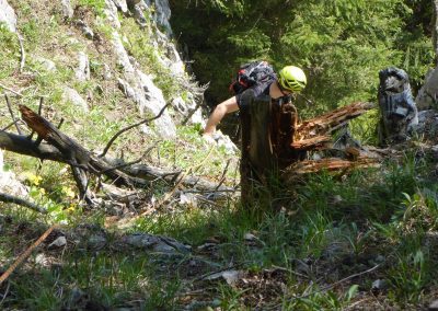 Vorbereitung zum Sommerkurs 2016 5