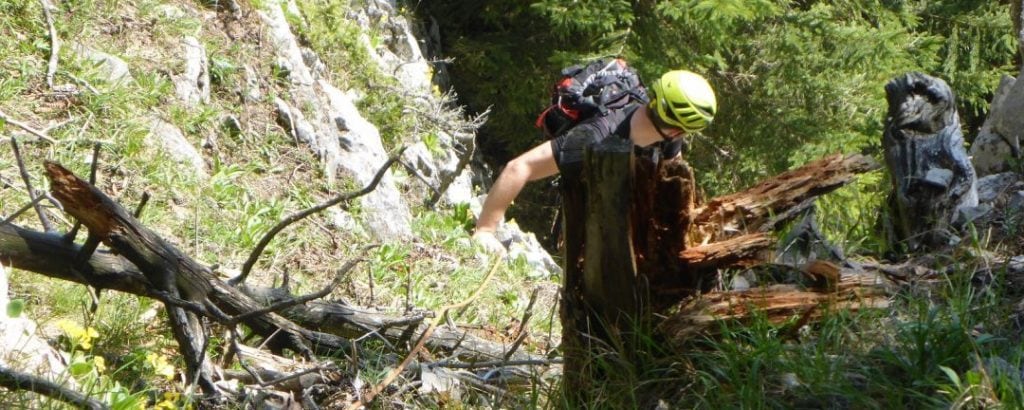 Vorbereitung zum Sommerkurs 2016 52