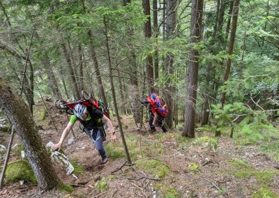 Es geht wieder los 4