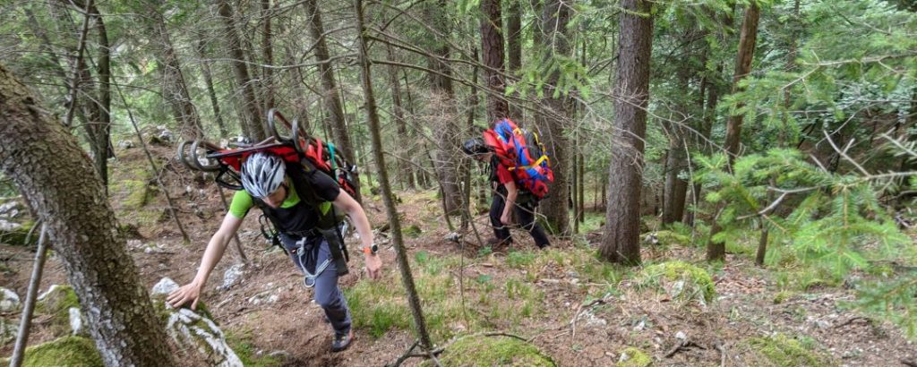 Es geht wieder los 31