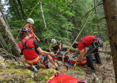 Es geht wieder los 3