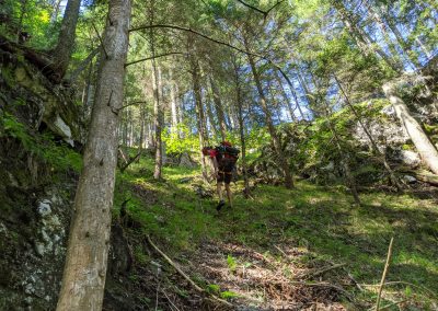 Es geht wieder los 2